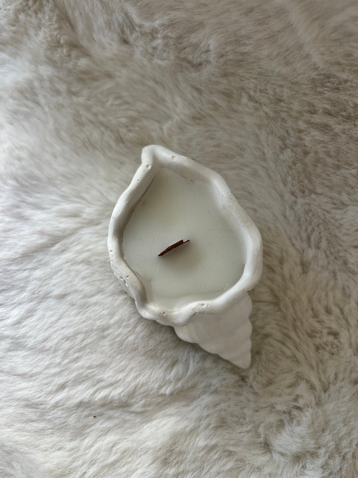 Seashell Decorative Candle