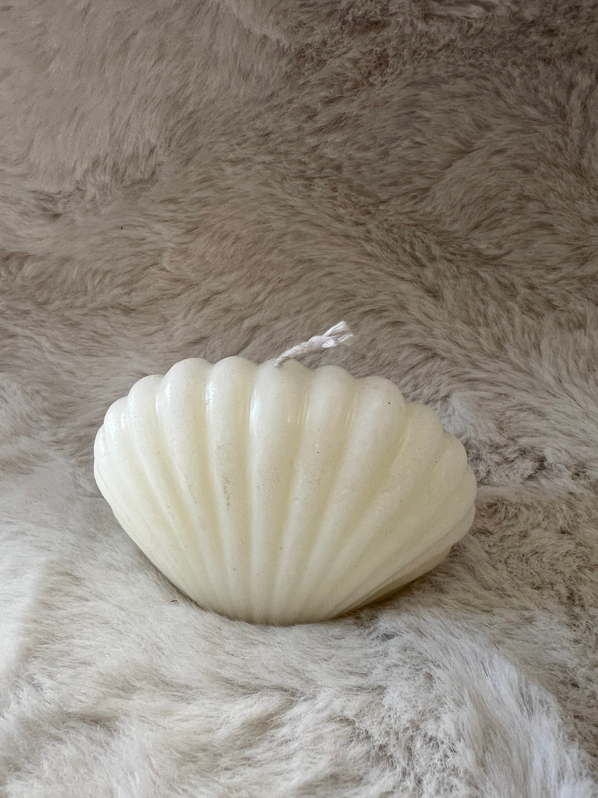 Seashell Decorative Candle