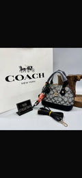 Mini bag coach