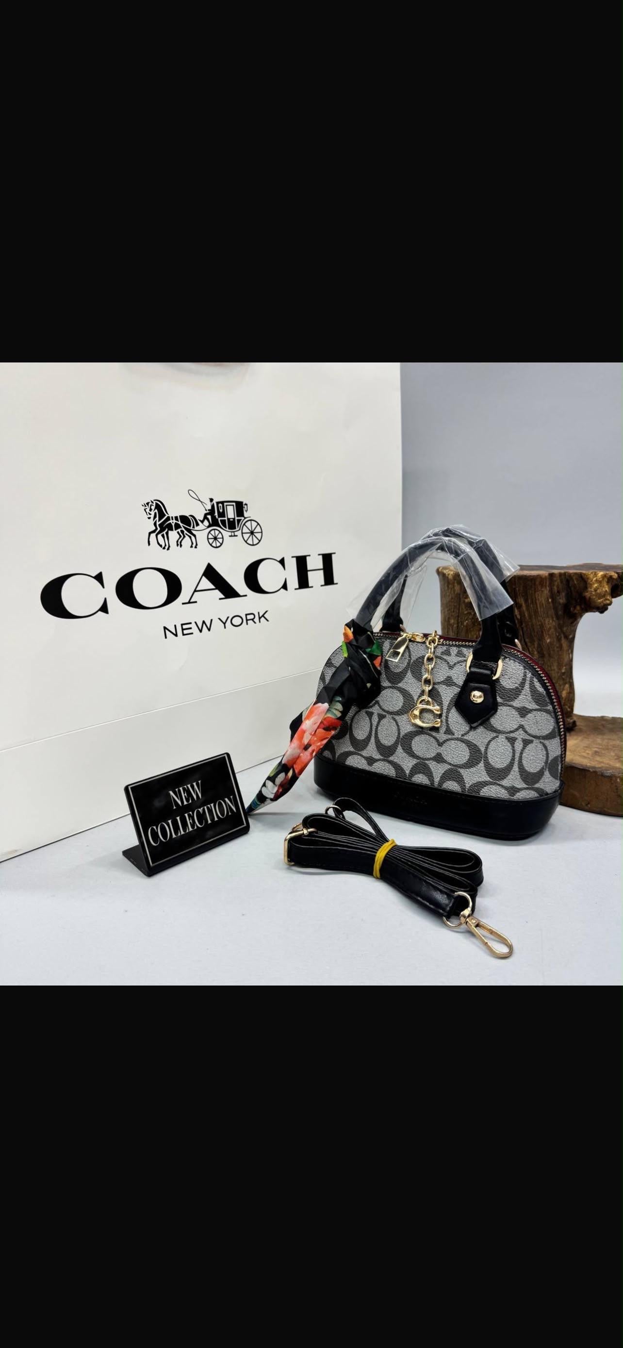 Mini bag coach