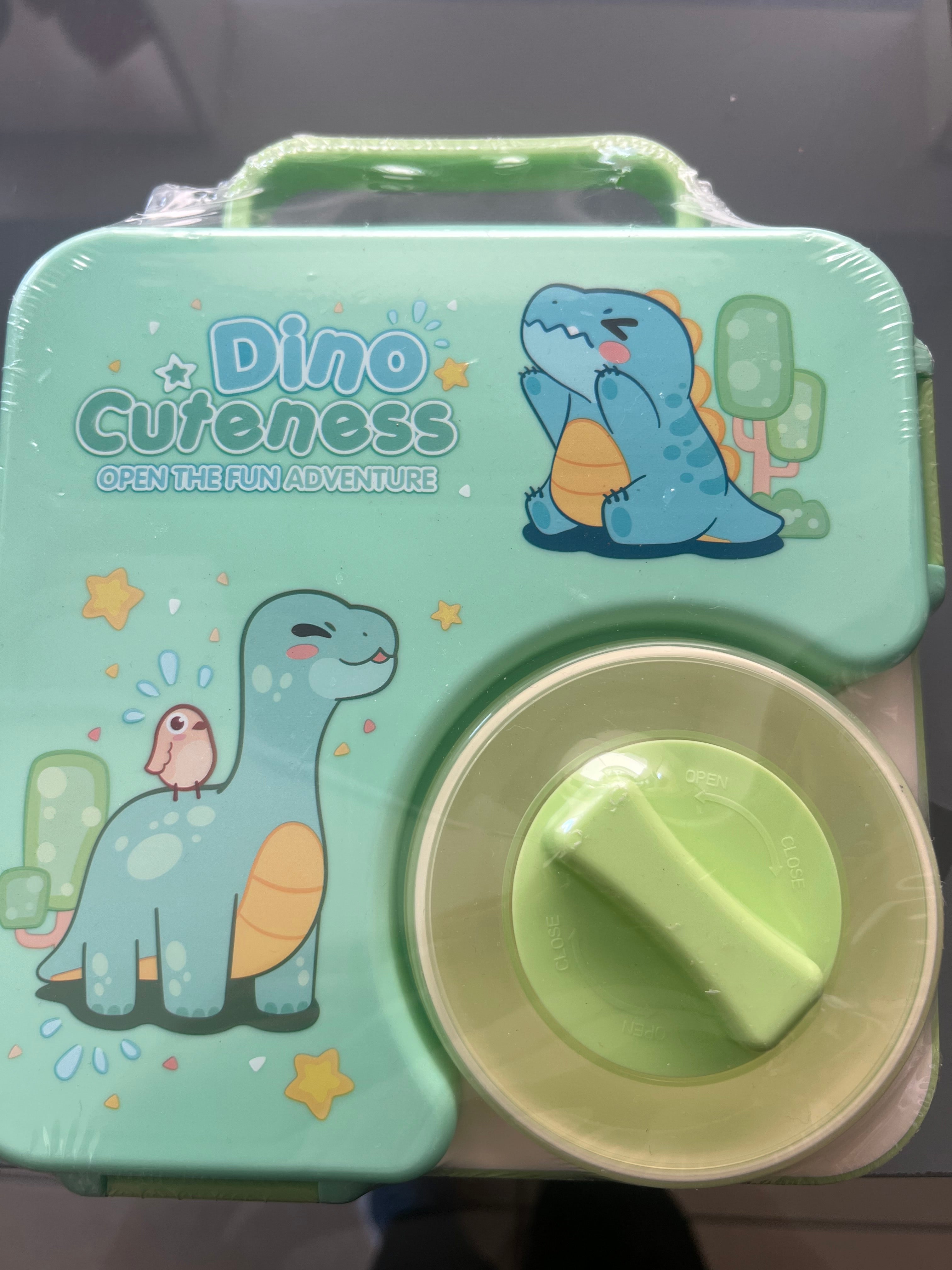 Dinosaur Lunch Box Set