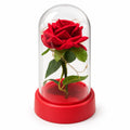Single red rose dome